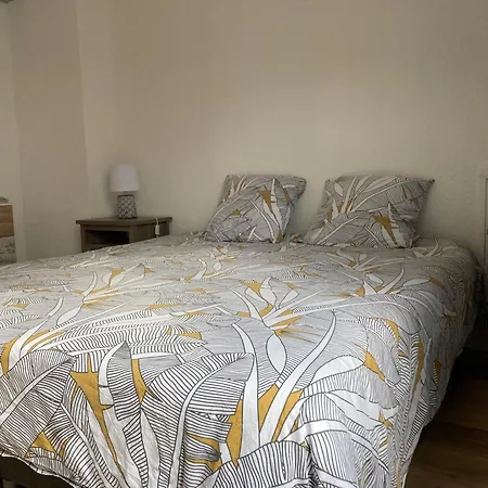 Apartment Carc'appart A Carcassonne